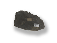 M 04838
<br/>
<br/>
<em></em>